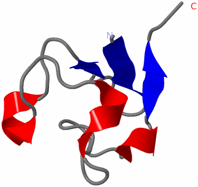 Image Asymmetric Unit