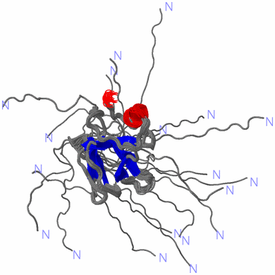 Image NMR Structure - all models