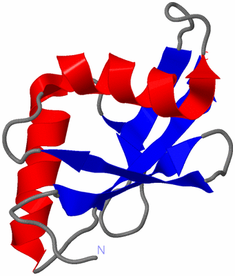 Image NMR Structure - model 1