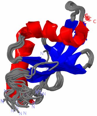 Image NMR Structure - all models