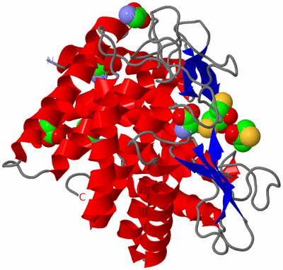 Image Asym./Biol. Unit