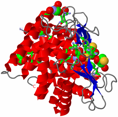 Image Asym./Biol. Unit - sites