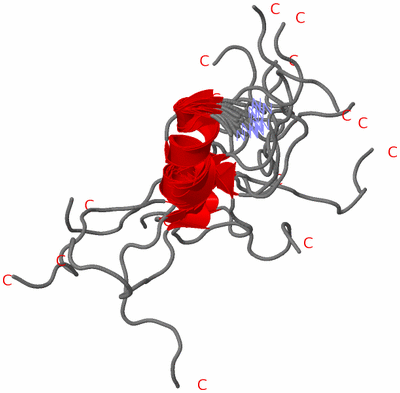 Image NMR Structure - all models