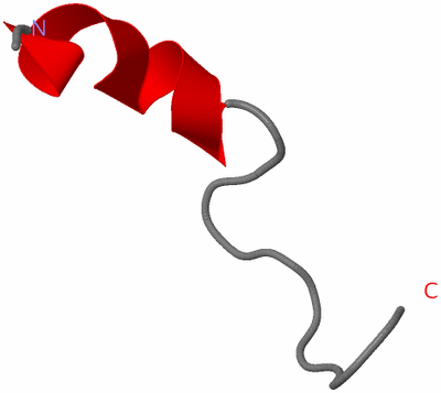 Image NMR Structure - model 1