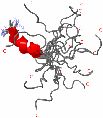 Image NMR Structure - all models