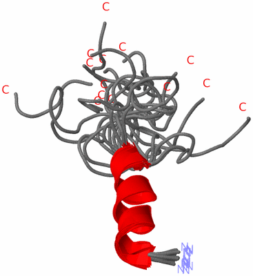 Image NMR Structure - all models