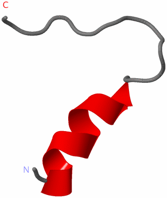 Image NMR Structure - model 1