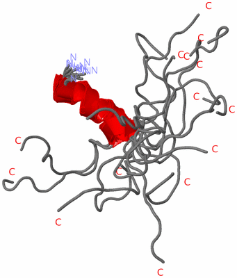 Image NMR Structure - all models