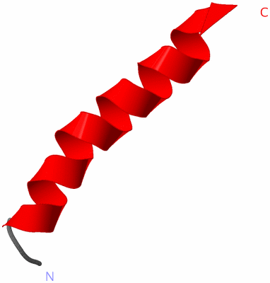 Image NMR Structure - model 1