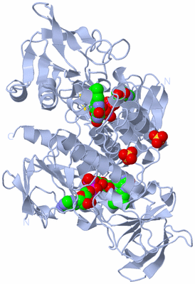 Image Biological Unit 1