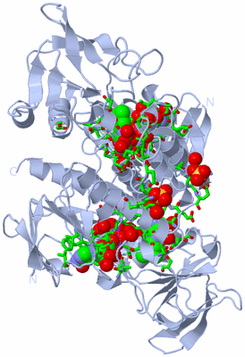 Image Biol. Unit 1 - sites