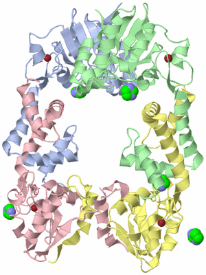 Image Biological Unit 1