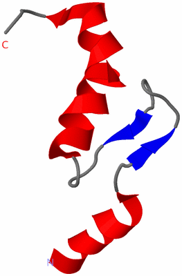 Image NMR Structure - model 1