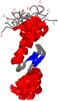 Image NMR Structure - all models