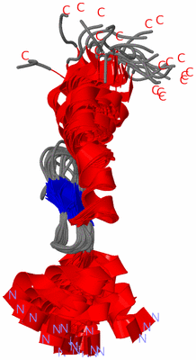 Image NMR Structure - all models