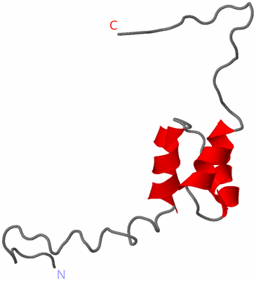 Image NMR Structure - model 1
