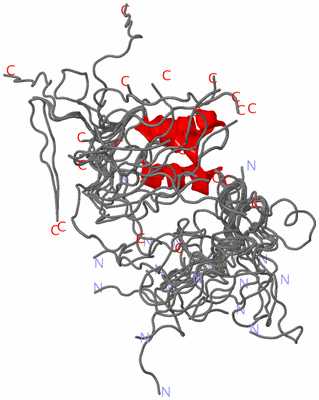 Image NMR Structure - all models