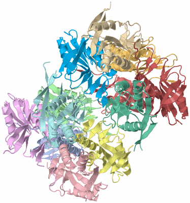 Image Asym./Biol. Unit