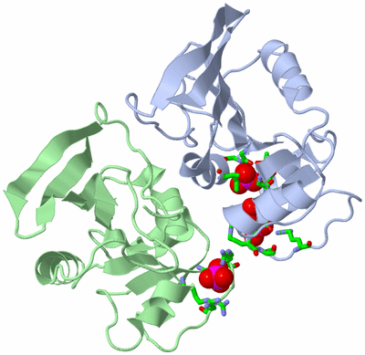 Image Asym./Biol. Unit - sites