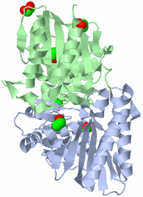 Image Asym./Biol. Unit