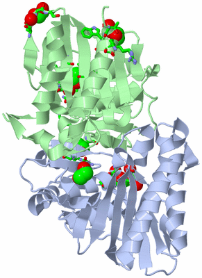 Image Asym./Biol. Unit - sites