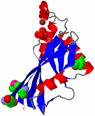 Image Asymmetric Unit