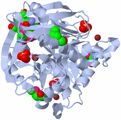 Image Biological Unit 1