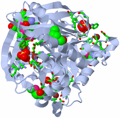 Image Biol. Unit 1 - sites