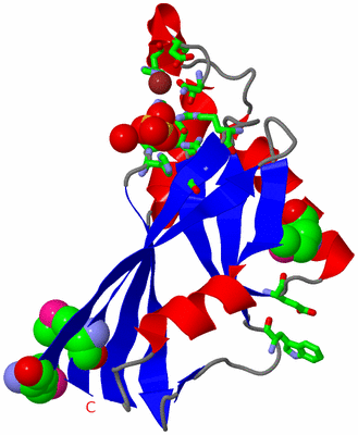 Image Asym. Unit - sites