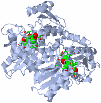 Image Biol. Unit 1 - sites