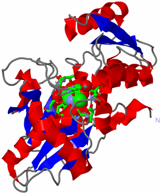 Image Asym. Unit - sites