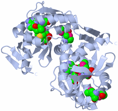 Image Biological Unit 1