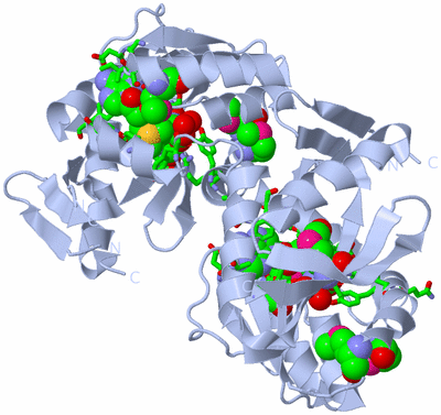 Image Biol. Unit 1 - sites