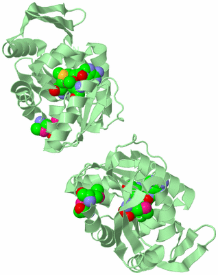 Image Biological Unit 2