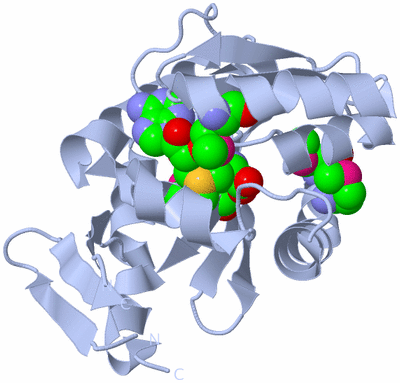 Image Biological Unit 3