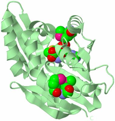 Image Biological Unit 4