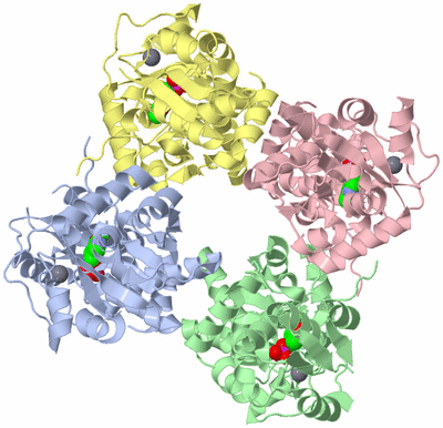 Image Asym./Biol. Unit