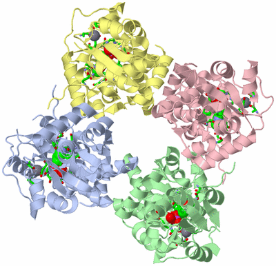 Image Asym./Biol. Unit - sites