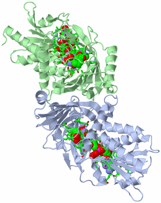 Image Asym./Biol. Unit - sites