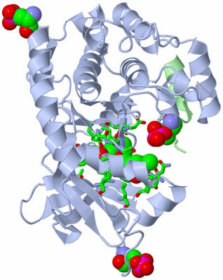 Image Asym./Biol. Unit - sites