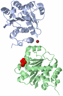 Image Biological Unit 3