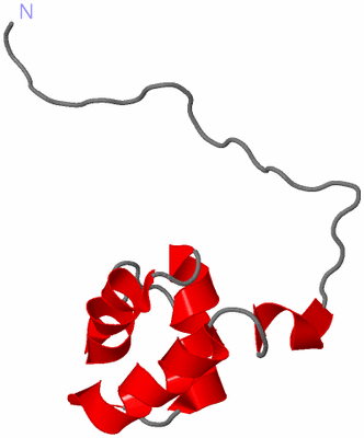Image NMR Structure - model 1