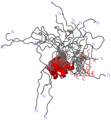 Image NMR Structure - all models