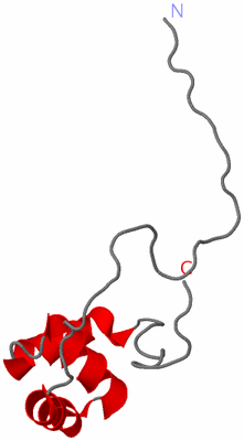 Image NMR Structure - model 1
