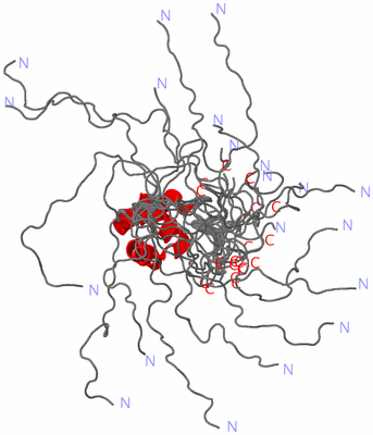 Image NMR Structure - all models