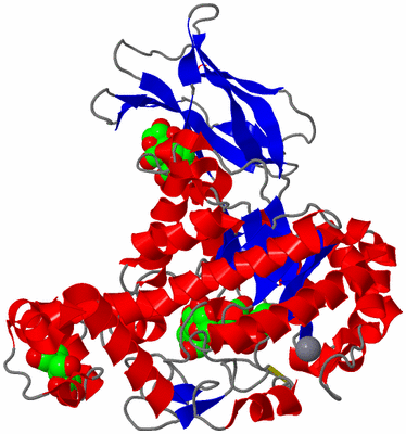 Image Asym./Biol. Unit