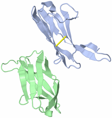 Image Asymmetric Unit
