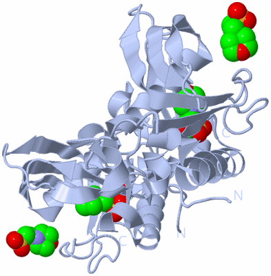 Image Biological Unit 1