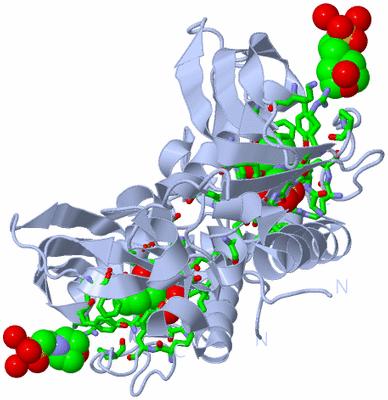 Image Biol. Unit 1 - sites