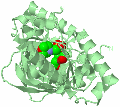 Image Biological Unit 2